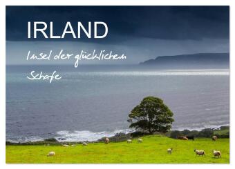 IRLAND - Insel der glücklichen Schafe (Wandkalender 2026 DIN ...