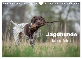 Jagdhunde bei der Arbeit (Wandkalender 2026 DIN A4 quer), CALV...