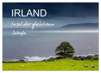 IRLAND - Insel der glücklichen Schafe (Tischkalender 2026 DIN...