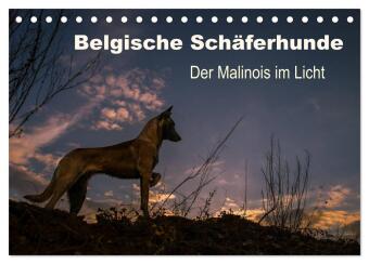 Belgische Schäferhunde - Der Malinois im Licht (Tischkalender...