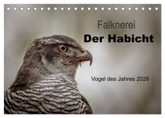 Falknerei Der Habicht (Tischkalender 2026 DIN A5 quer), CALVEN...