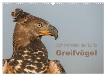 Schönheiten der Lüfte - Greifvögel (Wandkalender 2026 DIN A...