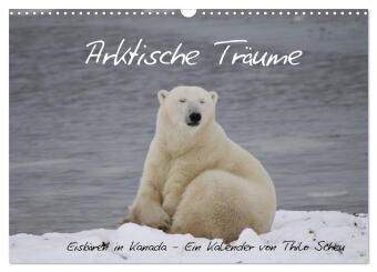 Arktische Träume - Eisbären in Kanada (Wandkalender 2026 DIN...