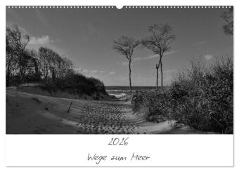 Wege zum Meer (Wandkalender 2026 DIN A2 quer), CALVENDO Monats...