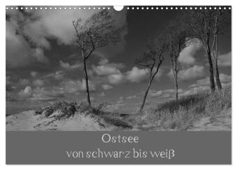 Ostsee - von schwarz bis weiß (Wandkalender 2026 DIN A3 quer)...