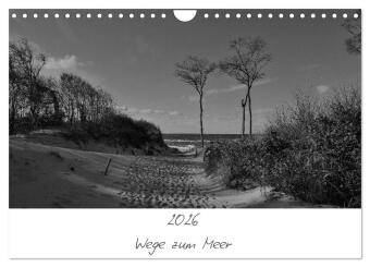 Wege zum Meer (Wandkalender 2026 DIN A4 quer), CALVENDO Monats...