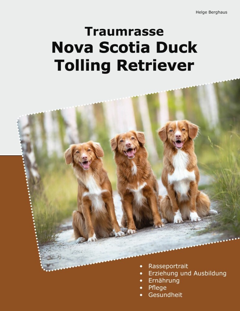 Traumrasse Nova Scotia Duck Tolling Retriever main product photo