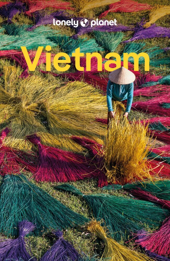 LONELY PLANET Reiseführer Vietnam main product photo