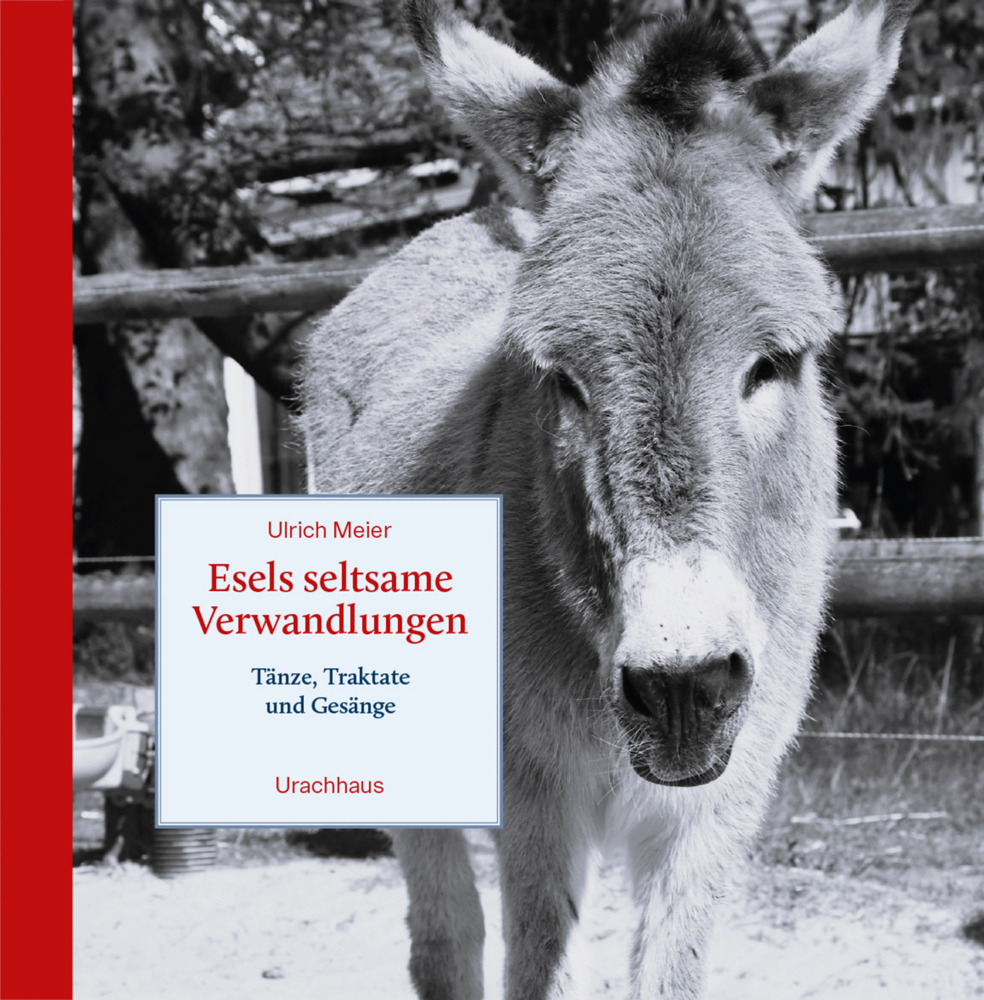 Esels seltsame Verwandlungen main product photo