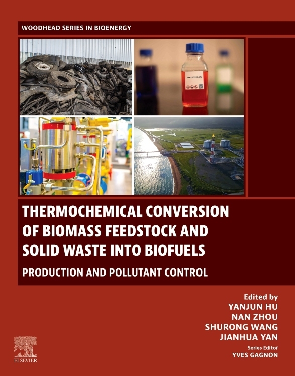 Thermochemical Conversion of Biomass Feedstock and Solid Waste into Biofuels main product photo