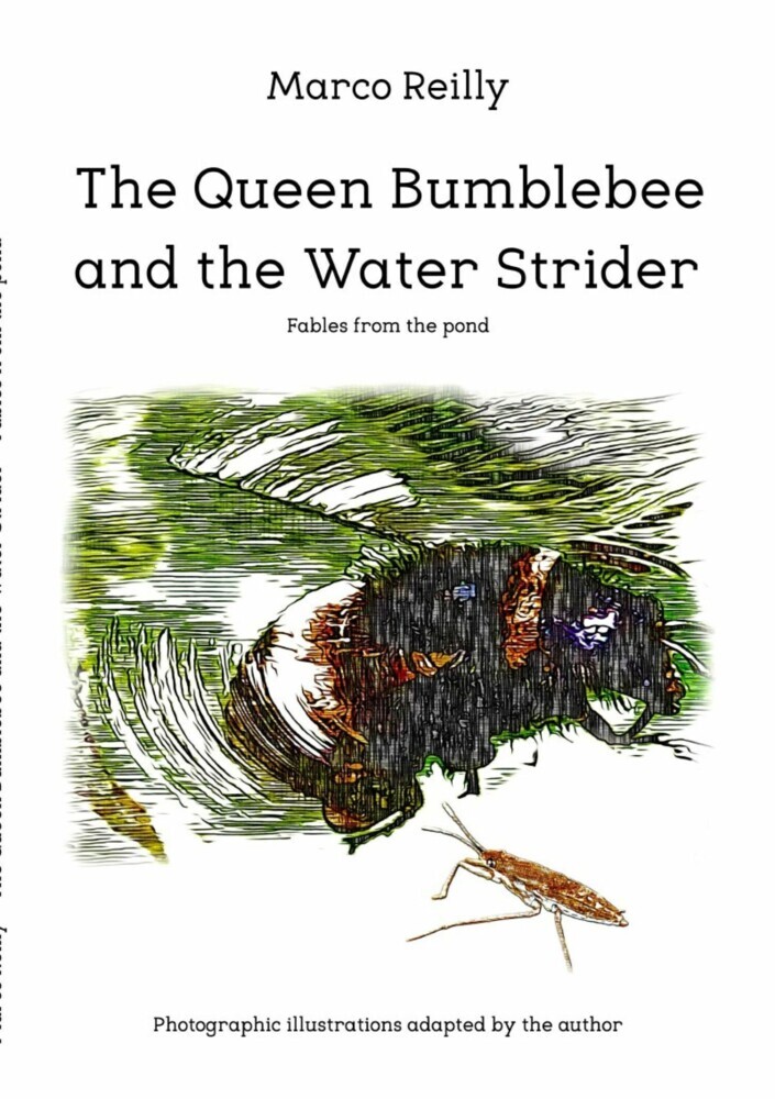 The Queen Bumblebee and the Water Strider main product photo