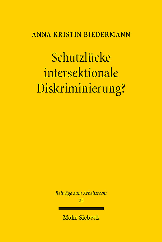 Schutzlücke intersektionale Diskriminierung? main product photo