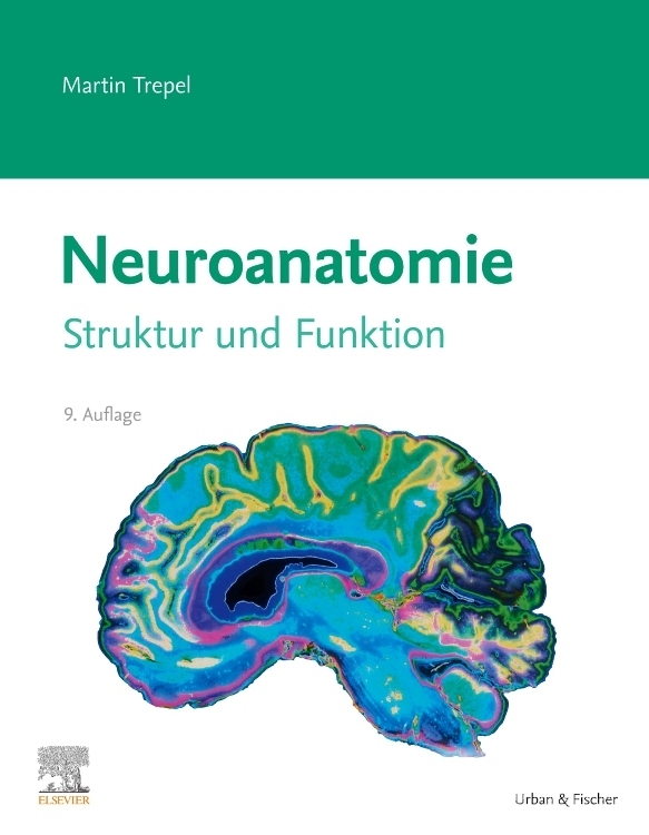 Neuroanatomie main product photo