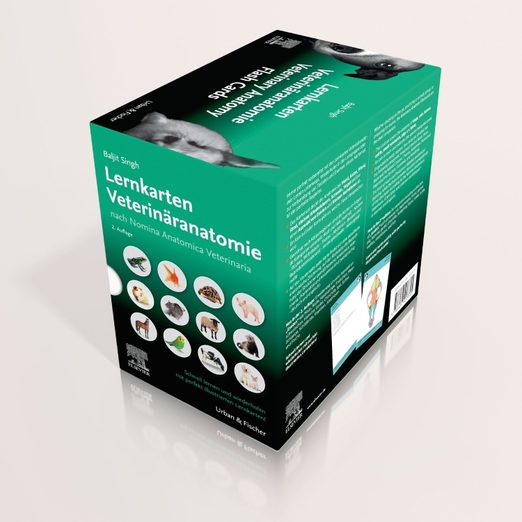 Lernkarten Veterinäranatomie / Veterinary Anatomy Flash Cards main product photo