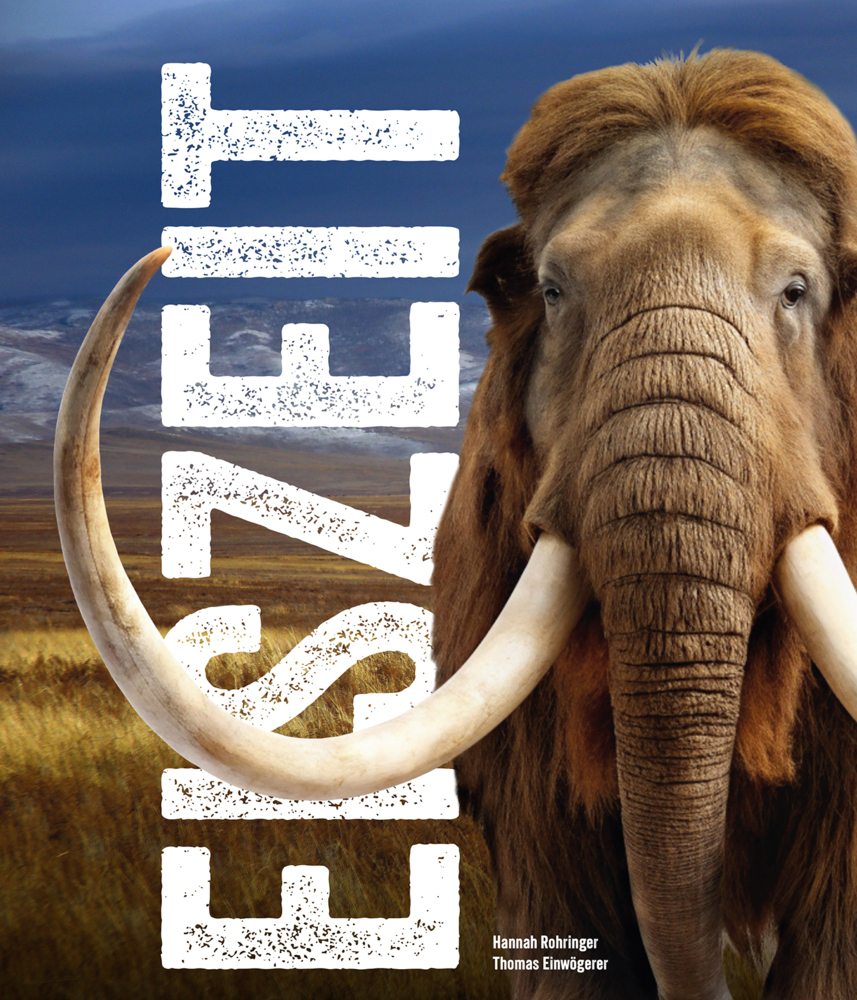 Eiszeit - Ice Age main product photo
