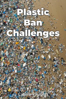Plastic Ban Challenges