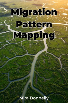 Migration Pattern Mapping