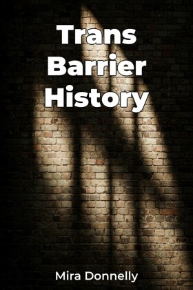 Trans Barrier History