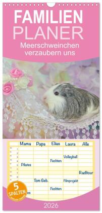 Familienplaner 2026 - Familienplaner MEERSCHWEINCHEN verzaubern uns mit 5 Spalten (Wandkalender, 21 x 45 cm) CALVENDO