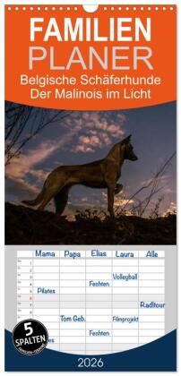 Familienplaner 2026 - Belgische Schäferhunde - Der Malinois i...