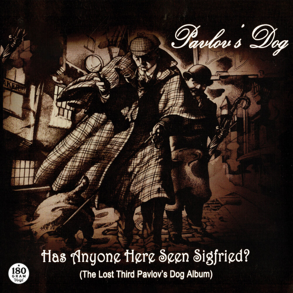 Has Anyone Here Seen Sigfried?, 1 Schallplatte (180g Black Vinyl) main product photo