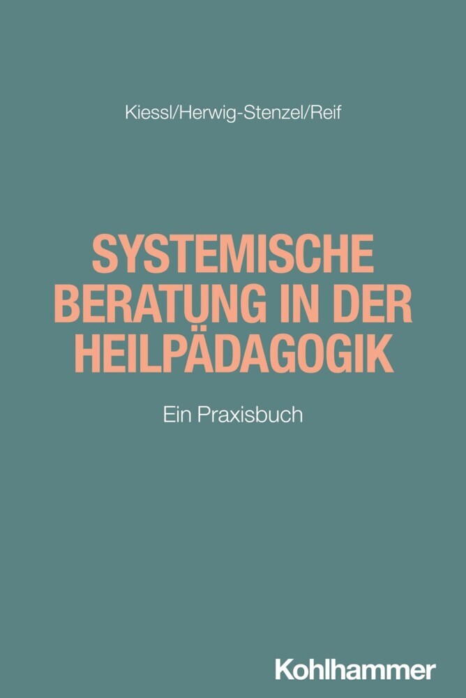 Systemische Beratung in der Heilpädagogik main product photo