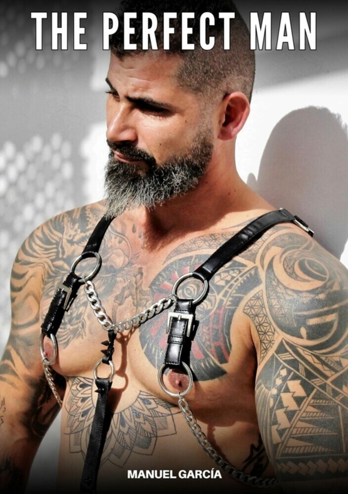 The Perfect Man main product photo