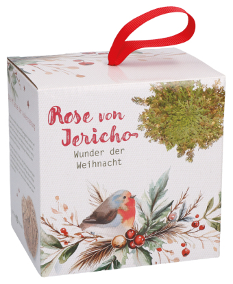 Wunder der Weihnacht