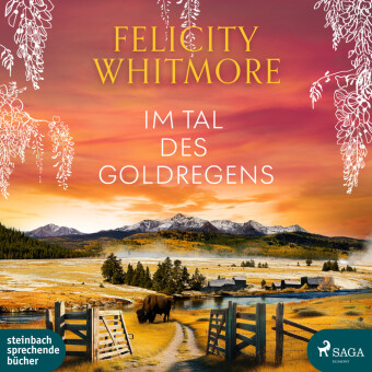 Im Tal des Goldregens, 2 Audio-CD, 2 MP3