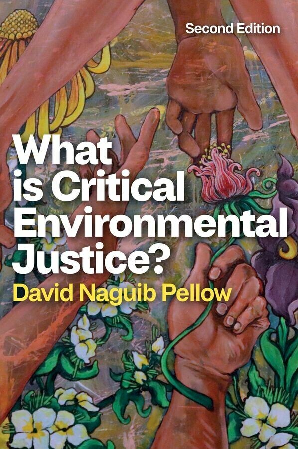 What is Critical Environmental Justice? main product photo