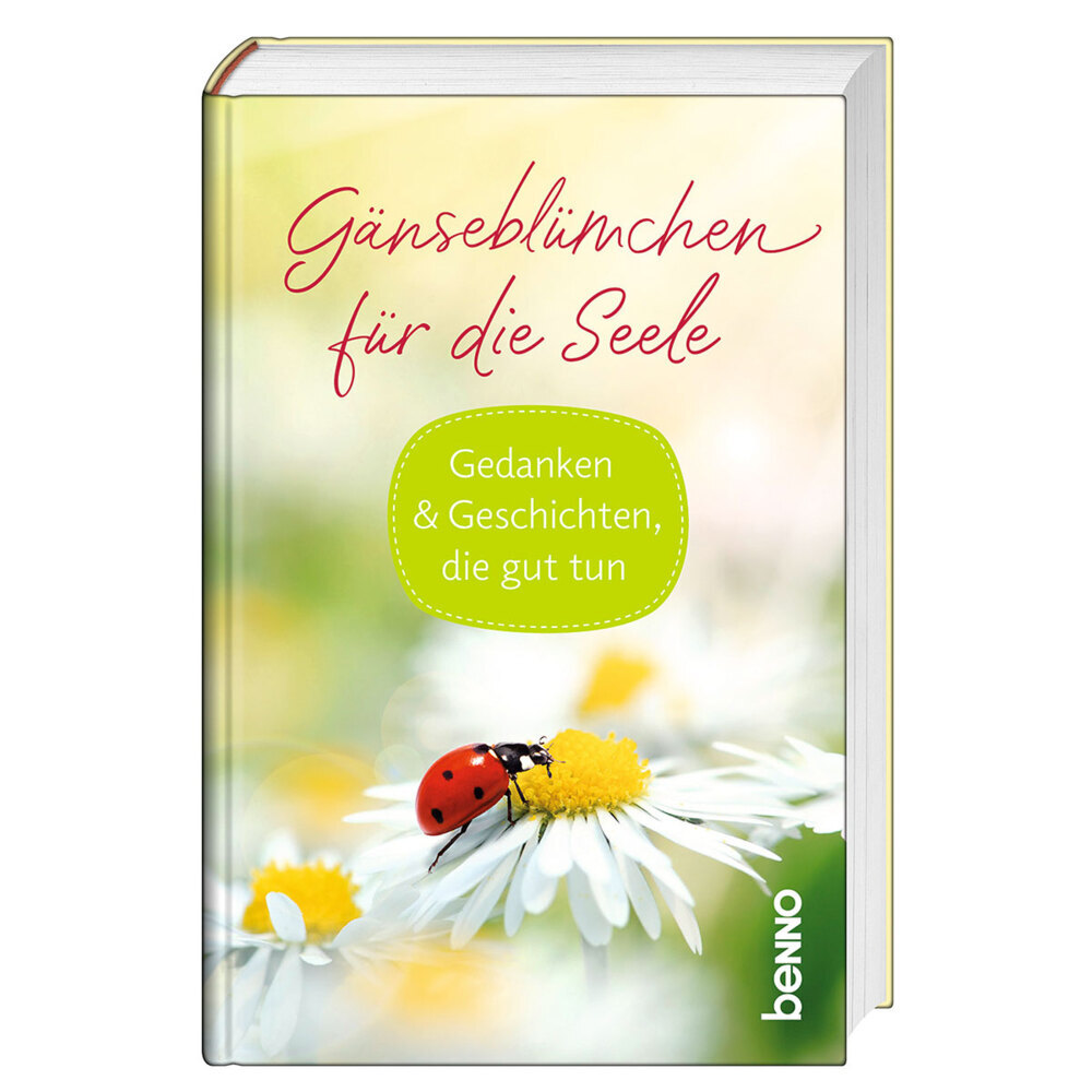 Gänseblümchen für die Seele main product photo
