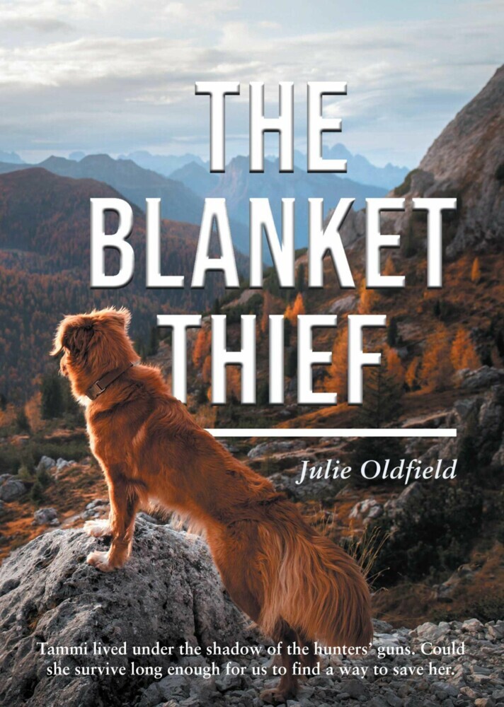 The Blanket Thief main product photo