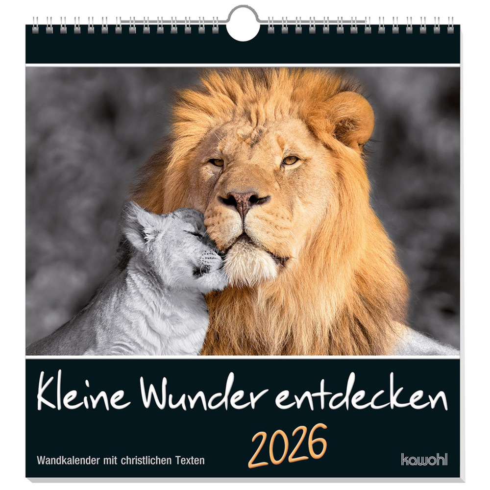 Kleine Wunder entdecken 2026 main product photo