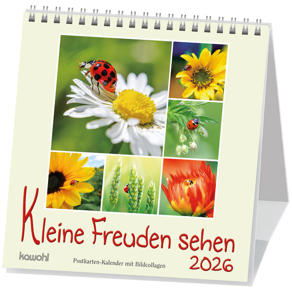 Kleine Freuden sehen 2026 main product photo
