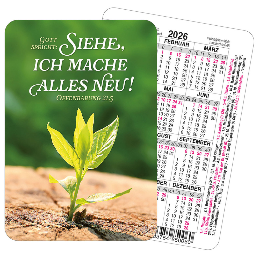 Spielkartenkalender 2026 main product photo