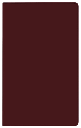 Taschenkalender Pluto geheftet PVC burgund 2026