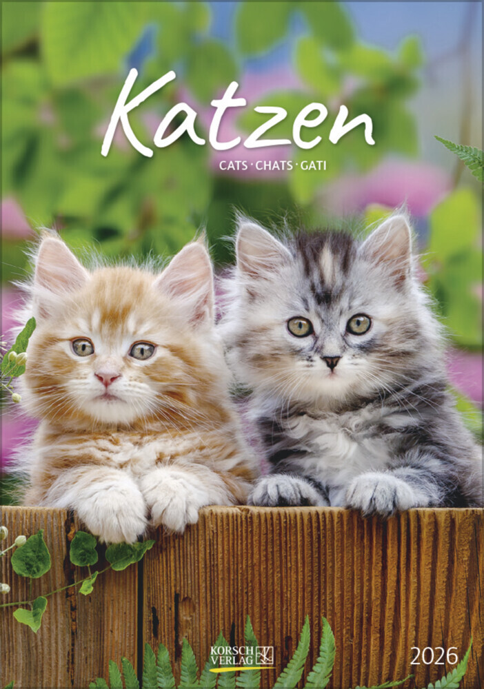 Katzen 2026 main product photo