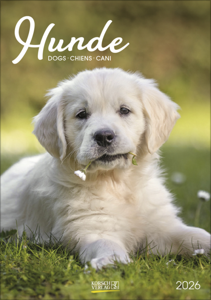 Hunde 2026 main product photo