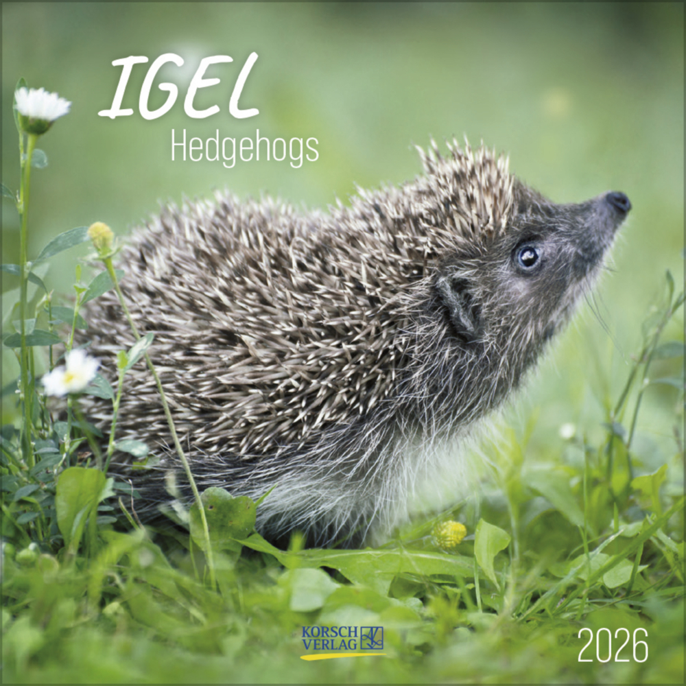 Igel 2026 main product photo