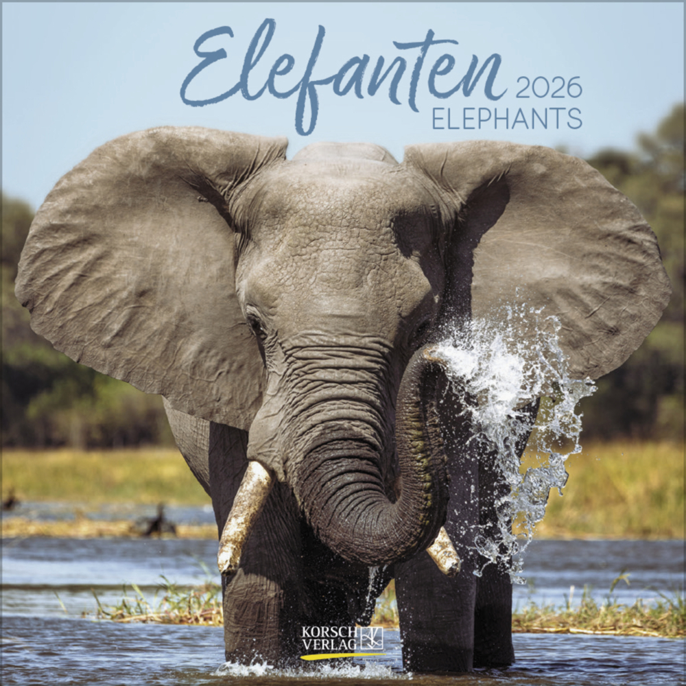 Elefanten 2026 main product photo