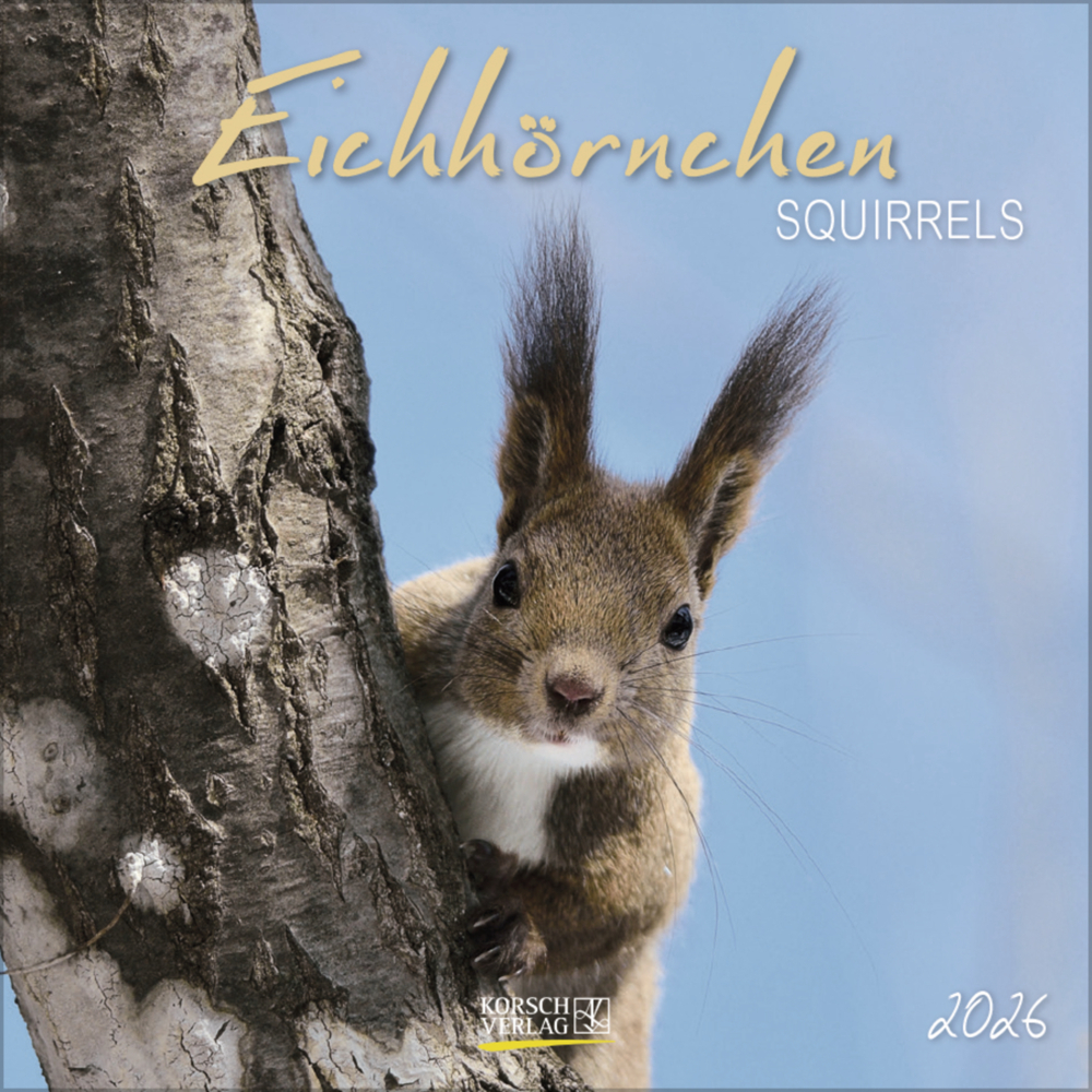 Eichhörnchen 2026 main product photo