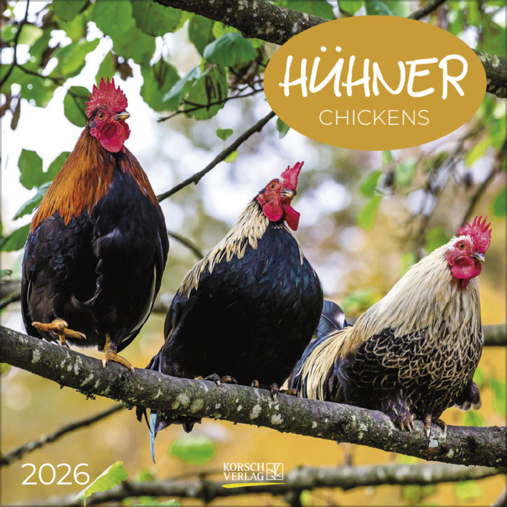 Hühner 2026 main product photo