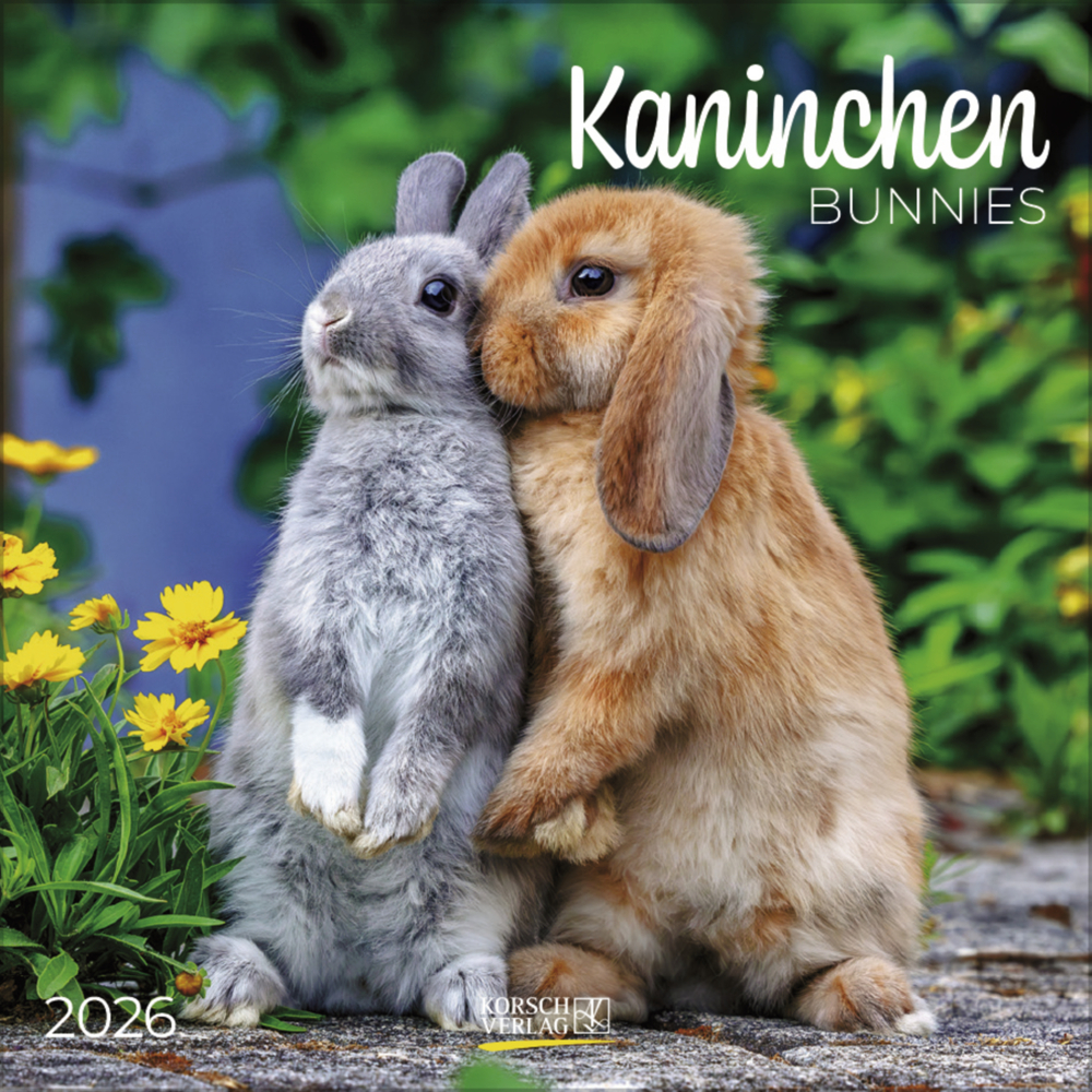 Kaninchen 2026 main product photo