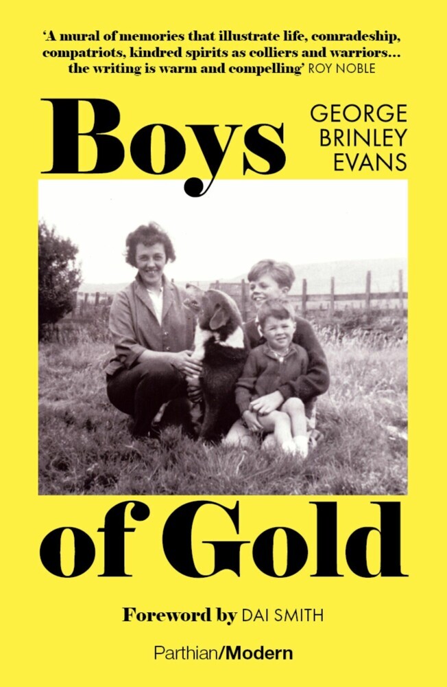 Boys of Gold main product photo