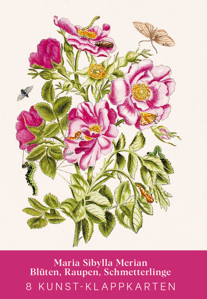 Maria Sibylla Merian - Acht Kunst-Klappkarten main product photo