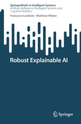Robust Explainable AI
