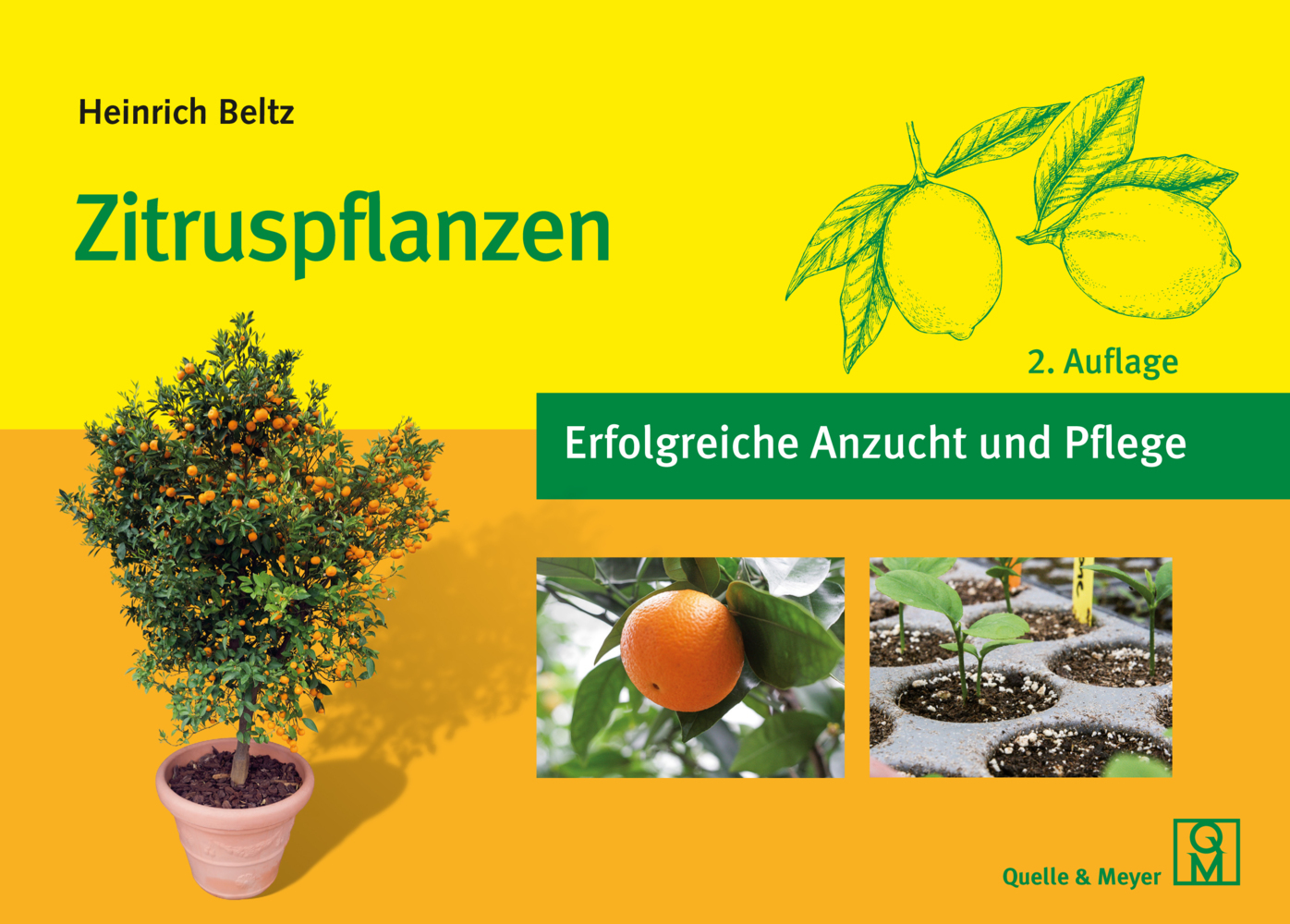 Zitruspflanzen main product photo