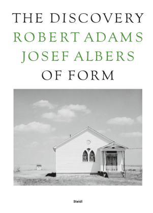 The Discovery of Form
