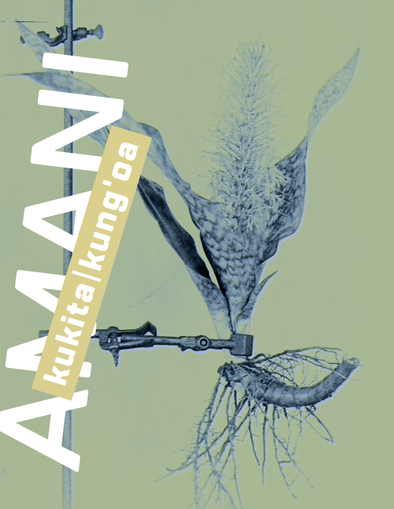 Amani main product photo