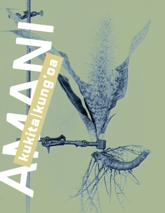 Amani